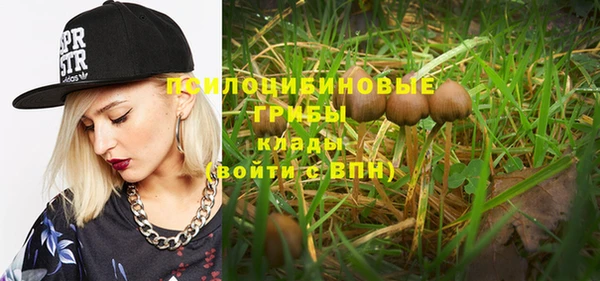 винт Баксан